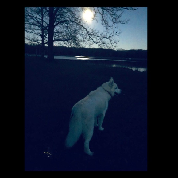 Meet your Posher, Karen - Picture 11 of 16